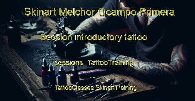 Skinart Melchor Ocampo Primera Seccion introductory tattoo sessions | #TattooTraining #TattooClasses #SkinartTraining-Mexico