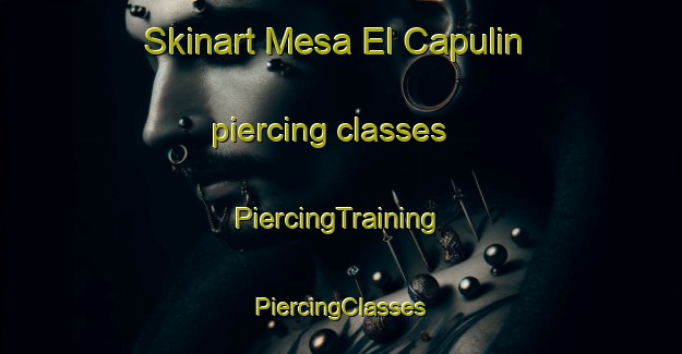 Skinart Mesa El Capulin piercing classes | #PiercingTraining #PiercingClasses #SkinartTraining-Mexico