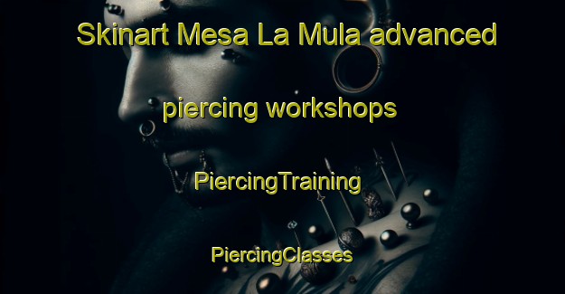 Skinart Mesa La Mula advanced piercing workshops | #PiercingTraining #PiercingClasses #SkinartTraining-Mexico