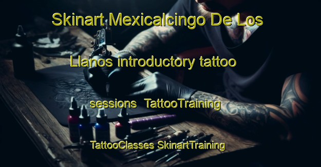 Skinart Mexicalcingo De Los Llanos introductory tattoo sessions | #TattooTraining #TattooClasses #SkinartTraining-Mexico