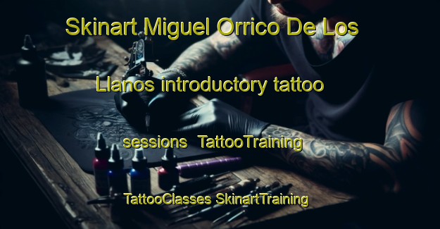 Skinart Miguel Orrico De Los Llanos introductory tattoo sessions | #TattooTraining #TattooClasses #SkinartTraining-Mexico