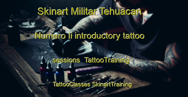 Skinart Militar Tehuacan Numero Ii introductory tattoo sessions | #TattooTraining #TattooClasses #SkinartTraining-Mexico