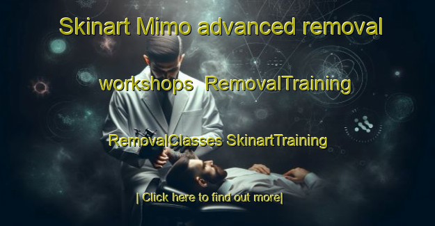 Skinart Mimo advanced removal workshops | #RemovalTraining #RemovalClasses #SkinartTraining-Mexico