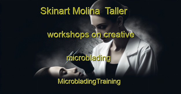 Skinart Molina  Taller workshops on creative microblading | #MicrobladingTraining #MicrobladingClasses #SkinartTraining-Mexico