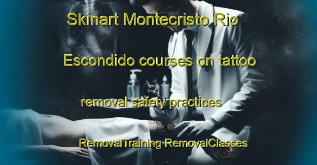 Skinart Montecristo Rio Escondido courses on tattoo removal safety practices | #RemovalTraining #RemovalClasses #SkinartTraining-Mexico