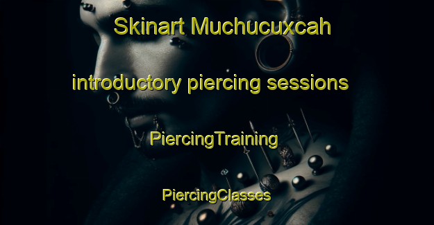 Skinart Muchucuxcah introductory piercing sessions | #PiercingTraining #PiercingClasses #SkinartTraining-Mexico