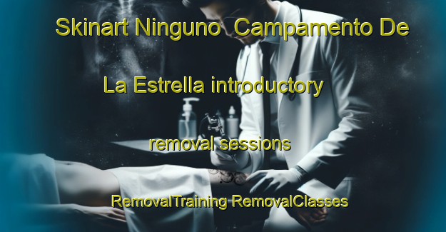 Skinart Ninguno  Campamento De La Estrella introductory removal sessions | #RemovalTraining #RemovalClasses #SkinartTraining-Mexico