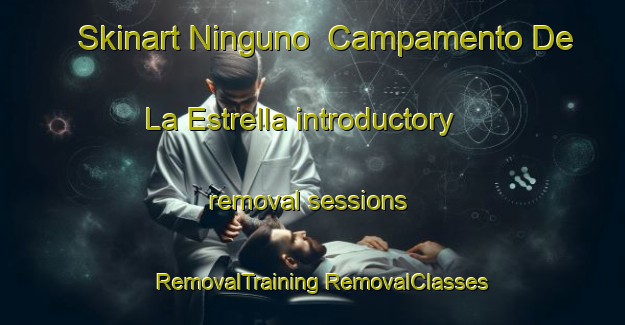 Skinart Ninguno  Campamento De La Estrella introductory removal sessions | #RemovalTraining #RemovalClasses #SkinartTraining-Mexico