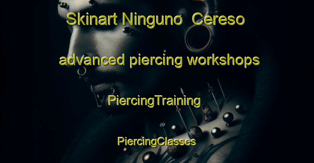 Skinart Ninguno  Cereso advanced piercing workshops | #PiercingTraining #PiercingClasses #SkinartTraining-Mexico