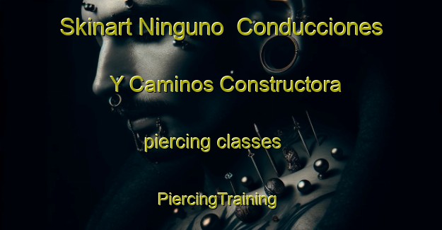 Skinart Ninguno  Conducciones Y Caminos Constructora piercing classes | #PiercingTraining #PiercingClasses #SkinartTraining-Mexico