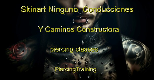 Skinart Ninguno  Conducciones Y Caminos Constructora piercing classes | #PiercingTraining #PiercingClasses #SkinartTraining-Mexico