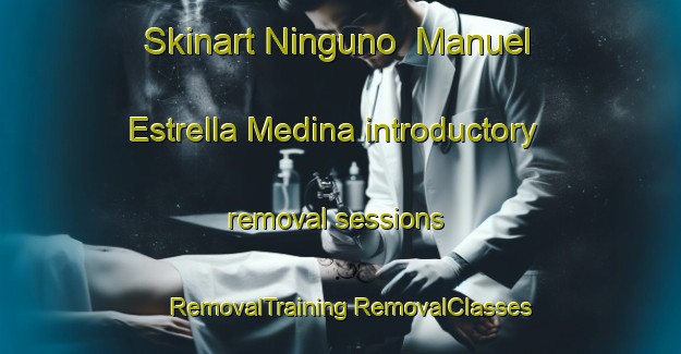 Skinart Ninguno  Manuel Estrella Medina introductory removal sessions | #RemovalTraining #RemovalClasses #SkinartTraining-Mexico