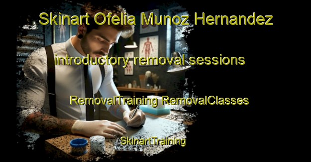 Skinart Ofelia Munoz Hernandez introductory removal sessions | #RemovalTraining #RemovalClasses #SkinartTraining-Mexico