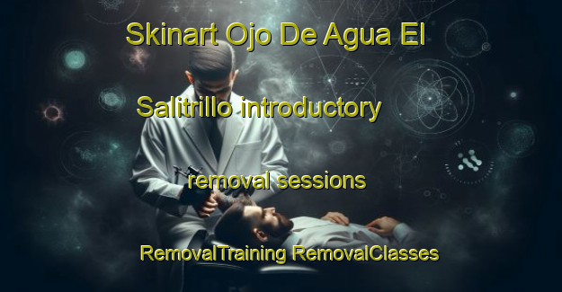 Skinart Ojo De Agua El Salitrillo introductory removal sessions | #RemovalTraining #RemovalClasses #SkinartTraining-Mexico