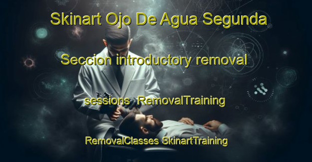 Skinart Ojo De Agua Segunda Seccion introductory removal sessions | #RemovalTraining #RemovalClasses #SkinartTraining-Mexico