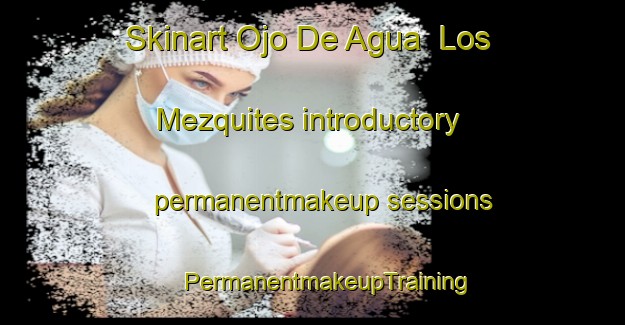 Skinart Ojo De Agua  Los Mezquites introductory permanentmakeup sessions | #PermanentmakeupTraining #PermanentmakeupClasses #SkinartTraining-Mexico