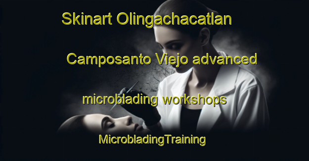 Skinart Olingachacatlan  Camposanto Viejo advanced microblading workshops | #MicrobladingTraining #MicrobladingClasses #SkinartTraining-Mexico