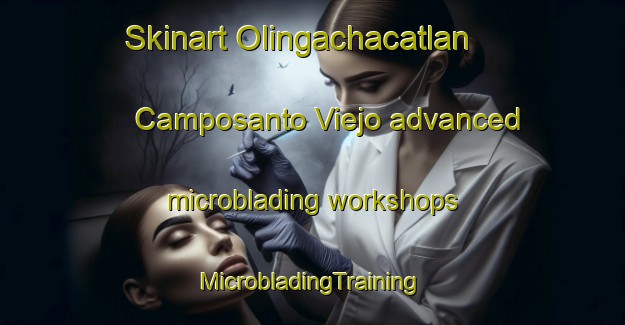 Skinart Olingachacatlan  Camposanto Viejo advanced microblading workshops | #MicrobladingTraining #MicrobladingClasses #SkinartTraining-Mexico