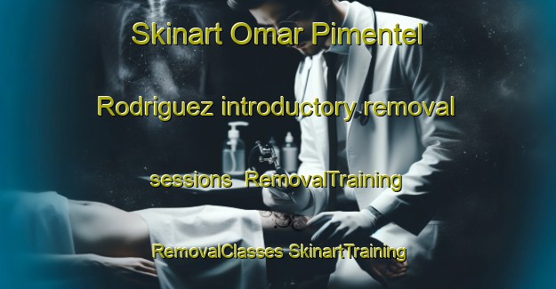 Skinart Omar Pimentel Rodriguez introductory removal sessions | #RemovalTraining #RemovalClasses #SkinartTraining-Mexico