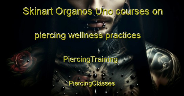 Skinart Organos Uno courses on piercing wellness practices | #PiercingTraining #PiercingClasses #SkinartTraining-Mexico