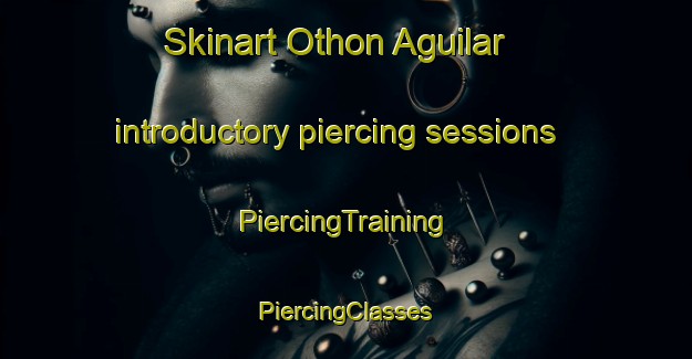 Skinart Othon Aguilar introductory piercing sessions | #PiercingTraining #PiercingClasses #SkinartTraining-Mexico