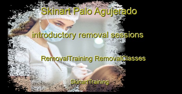 Skinart Palo Agujerado introductory removal sessions | #RemovalTraining #RemovalClasses #SkinartTraining-Mexico