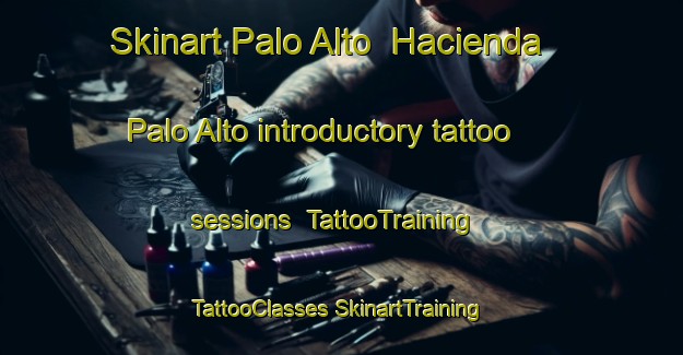 Skinart Palo Alto  Hacienda Palo Alto introductory tattoo sessions | #TattooTraining #TattooClasses #SkinartTraining-Mexico