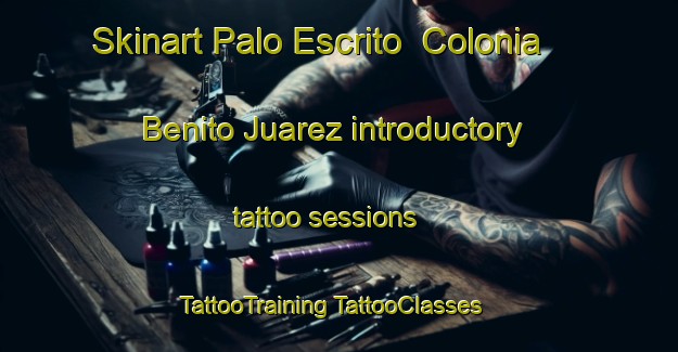 Skinart Palo Escrito  Colonia Benito Juarez introductory tattoo sessions | #TattooTraining #TattooClasses #SkinartTraining-Mexico