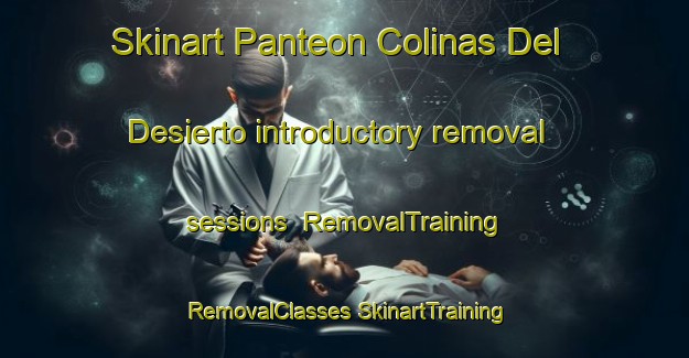 Skinart Panteon Colinas Del Desierto introductory removal sessions | #RemovalTraining #RemovalClasses #SkinartTraining-Mexico