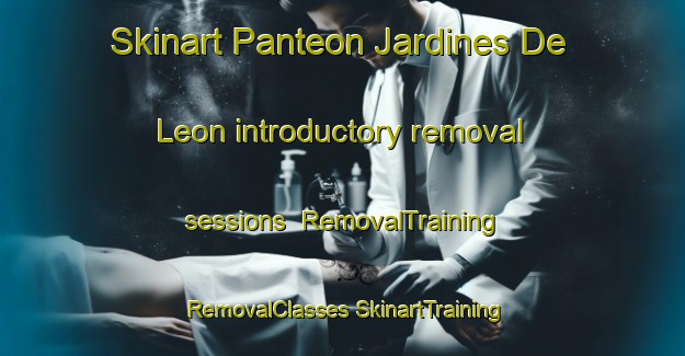 Skinart Panteon Jardines De Leon introductory removal sessions | #RemovalTraining #RemovalClasses #SkinartTraining-Mexico