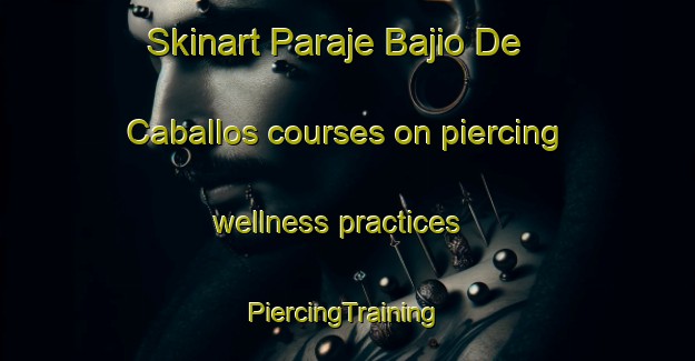 Skinart Paraje Bajio De Caballos courses on piercing wellness practices | #PiercingTraining #PiercingClasses #SkinartTraining-Mexico