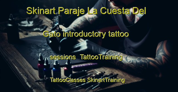 Skinart Paraje La Cuesta Del Gato introductory tattoo sessions | #TattooTraining #TattooClasses #SkinartTraining-Mexico