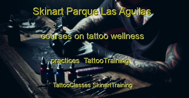 Skinart Parque Las Aguilas courses on tattoo wellness practices | #TattooTraining #TattooClasses #SkinartTraining-Mexico