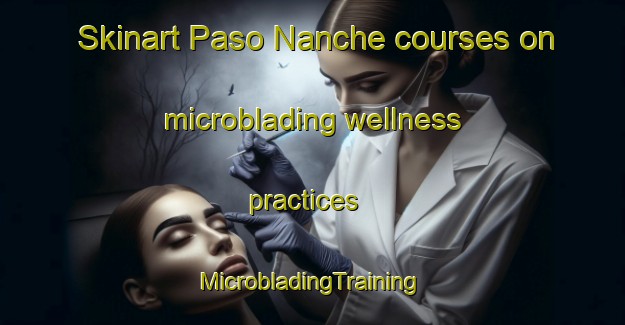 Skinart Paso Nanche courses on microblading wellness practices | #MicrobladingTraining #MicrobladingClasses #SkinartTraining-Mexico