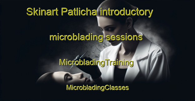 Skinart Patlicha introductory microblading sessions | #MicrobladingTraining #MicrobladingClasses #SkinartTraining-Mexico