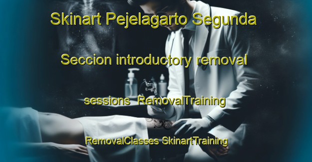 Skinart Pejelagarto Segunda Seccion introductory removal sessions | #RemovalTraining #RemovalClasses #SkinartTraining-Mexico