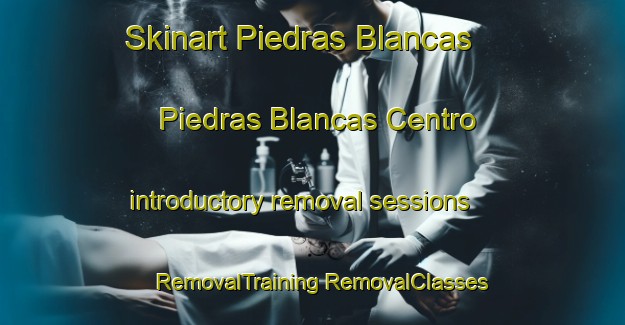 Skinart Piedras Blancas  Piedras Blancas Centro introductory removal sessions | #RemovalTraining #RemovalClasses #SkinartTraining-Mexico