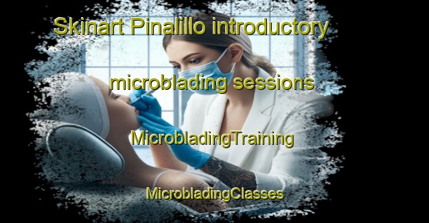 Skinart Pinalillo introductory microblading sessions | #MicrobladingTraining #MicrobladingClasses #SkinartTraining-Mexico