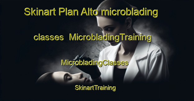 Skinart Plan Alto microblading classes | MicrobladingTraining | MicrobladingClasses | SkinartTraining-Mexico