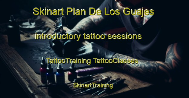 Skinart Plan De Los Guajes introductory tattoo sessions | #TattooTraining #TattooClasses #SkinartTraining-Mexico