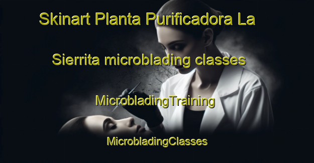 Skinart Planta Purificadora La Sierrita microblading classes | #MicrobladingTraining #MicrobladingClasses #SkinartTraining-Mexico