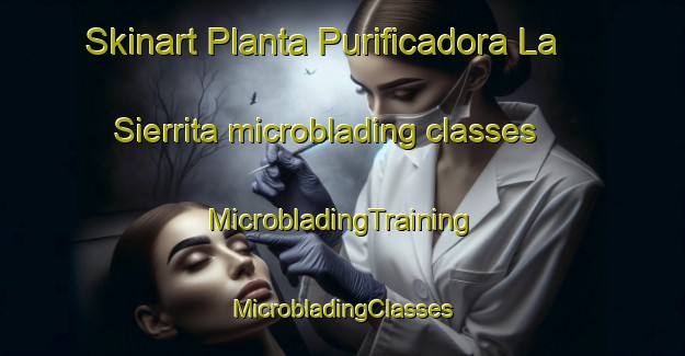 Skinart Planta Purificadora La Sierrita microblading classes | #MicrobladingTraining #MicrobladingClasses #SkinartTraining-Mexico