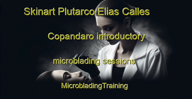 Skinart Plutarco Elias Calles  Copandaro introductory microblading sessions | #MicrobladingTraining #MicrobladingClasses #SkinartTraining-Mexico