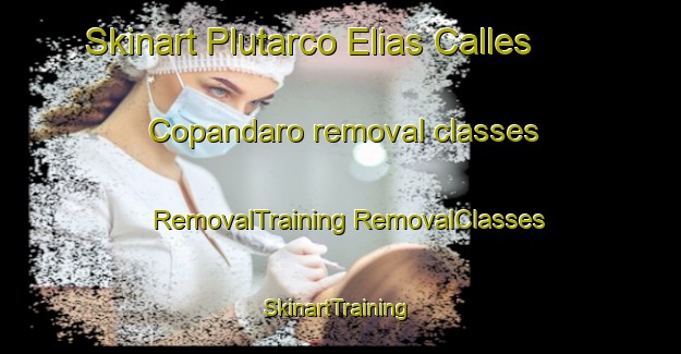 Skinart Plutarco Elias Calles  Copandaro removal classes | #RemovalTraining #RemovalClasses #SkinartTraining-Mexico