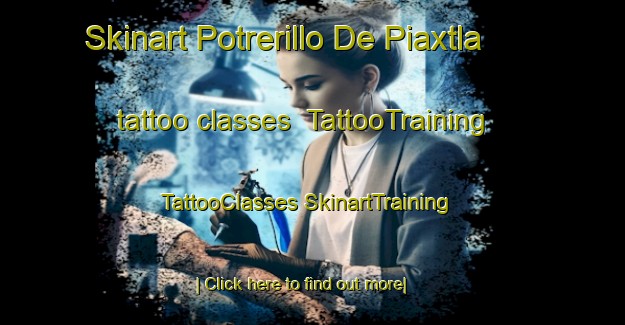 Skinart Potrerillo De Piaxtla tattoo classes | #TattooTraining #TattooClasses #SkinartTraining-Mexico