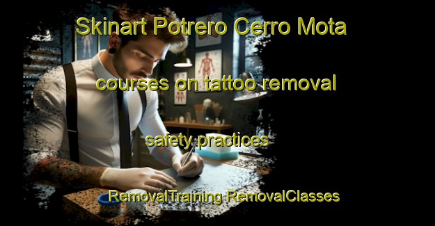 Skinart Potrero Cerro Mota courses on tattoo removal safety practices | #RemovalTraining #RemovalClasses #SkinartTraining-Mexico