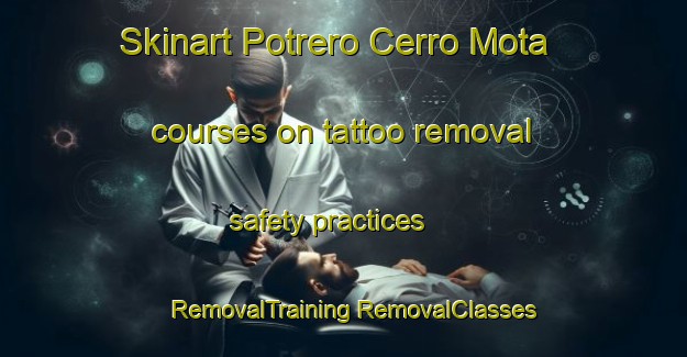 Skinart Potrero Cerro Mota courses on tattoo removal safety practices | #RemovalTraining #RemovalClasses #SkinartTraining-Mexico