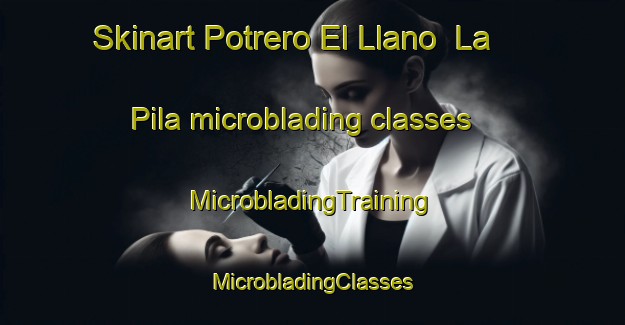 Skinart Potrero El Llano  La Pila microblading classes | #MicrobladingTraining #MicrobladingClasses #SkinartTraining-Mexico