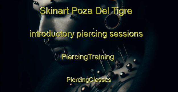 Skinart Poza Del Tigre introductory piercing sessions | #PiercingTraining #PiercingClasses #SkinartTraining-Mexico