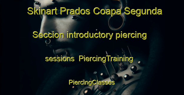 Skinart Prados Coapa Segunda Seccion introductory piercing sessions | #PiercingTraining #PiercingClasses #SkinartTraining-Mexico